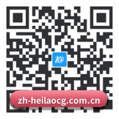 Android 饭圈版 二维码